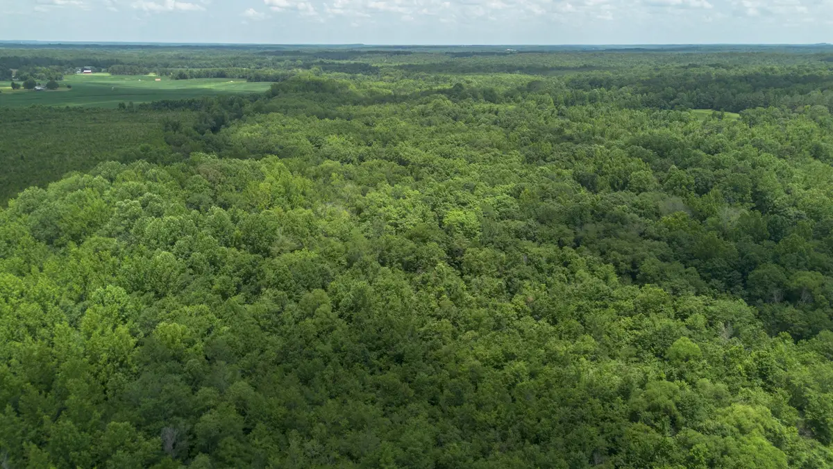 0 Smith Rd, Finger, TN 38334 - #1