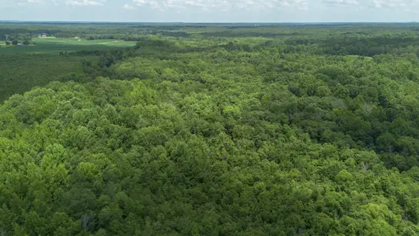 0 Smith Rd, Finger, TN 38334