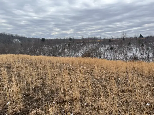 169 Twin Pines Rd, Lobelville, TN 37097