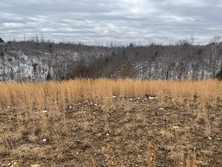 169 Twin Pines Rd, Lobelville, TN 37097 - Image #2