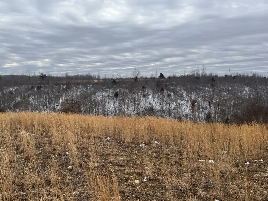 169 Twin Pines Rd, Lobelville, TN 37097 - Image #3