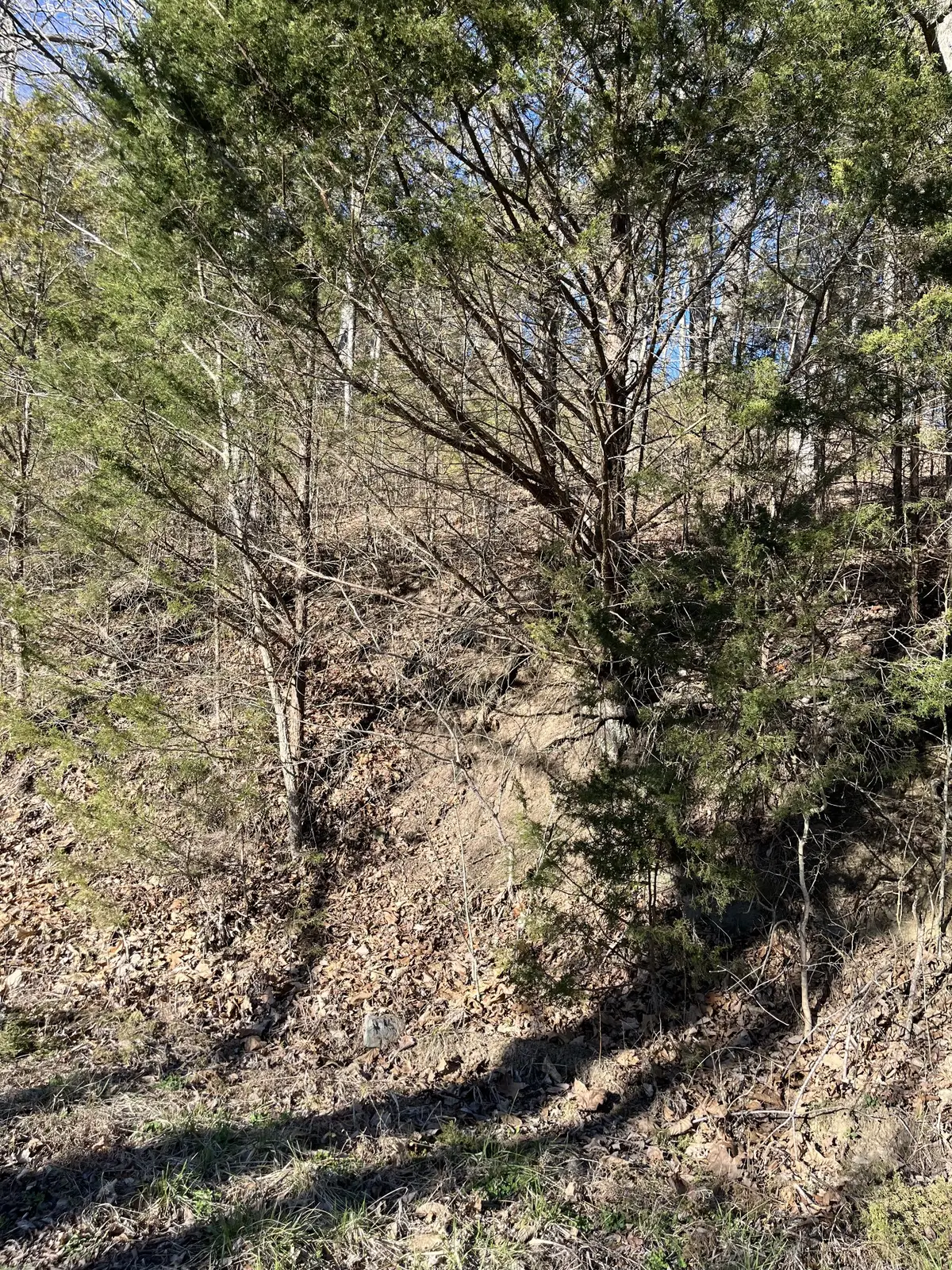 0 Davis Hollow, Dowelltown, TN 37059 - #1