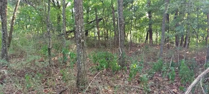 #3