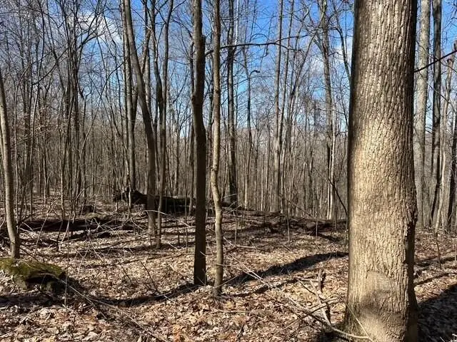 #2