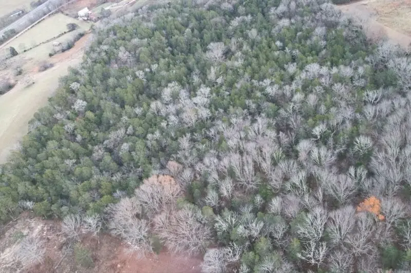 0 Interstate 65 Access Road, Pulaski, TN 38478 - #3