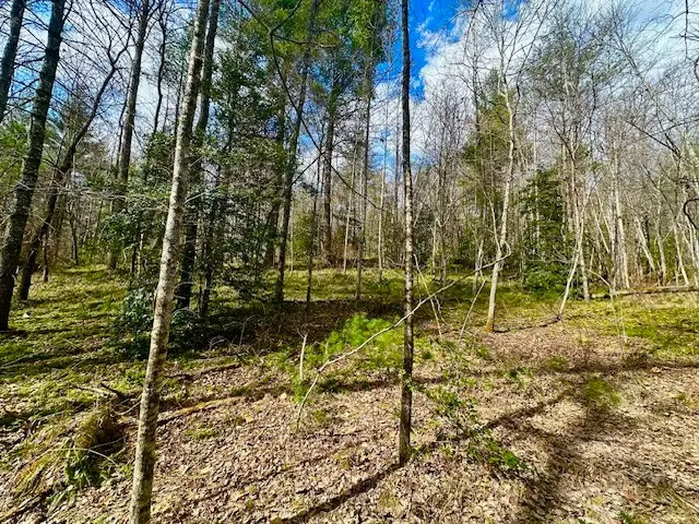 144 Gunter Place Rd, Sunbright, TN 37872 - Image #2