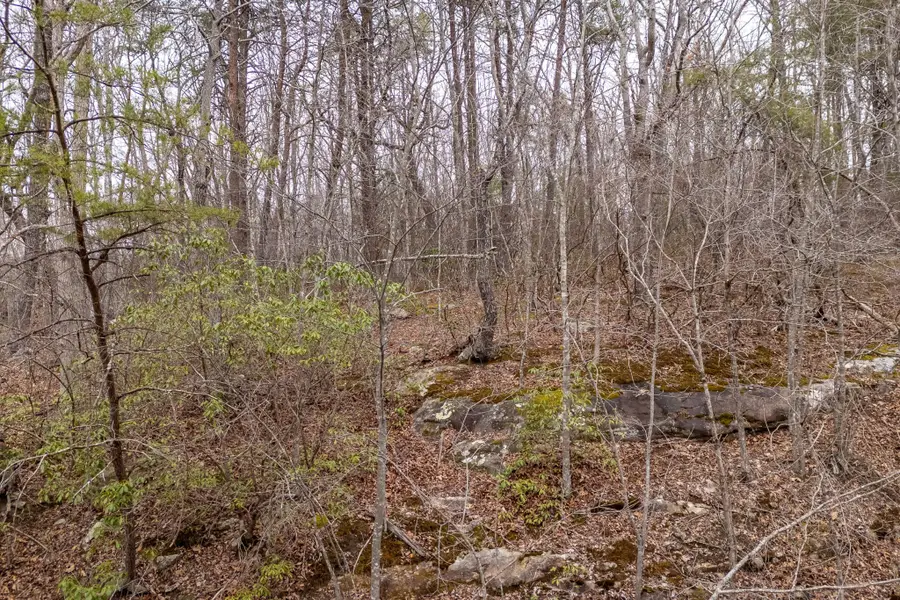 106 Warrington Rd, Crossville, TN 38558 - Image #3