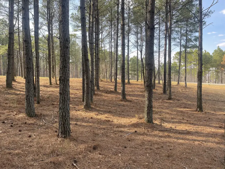 179 High Point Lane, Jasper, TN 37347 - #3