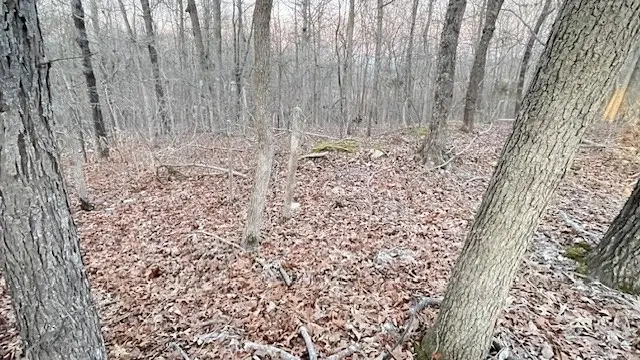 #2