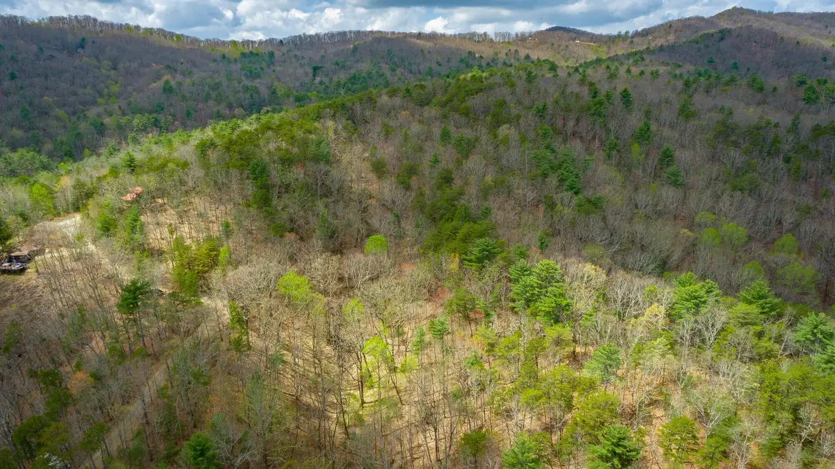 0 Grace Court, Ellijay, GA 30540 - Image #1