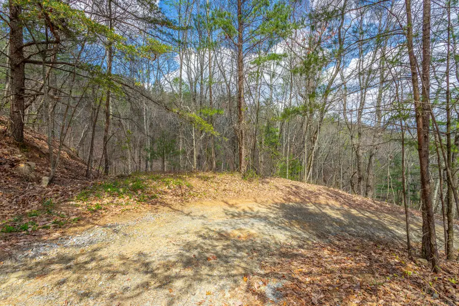 0 Grace Court, Ellijay, GA 30540 - Image #2