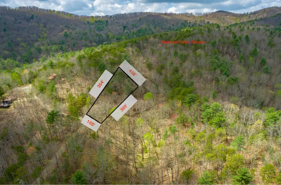 0 Grace Court, Ellijay, GA 30540 - Image #3