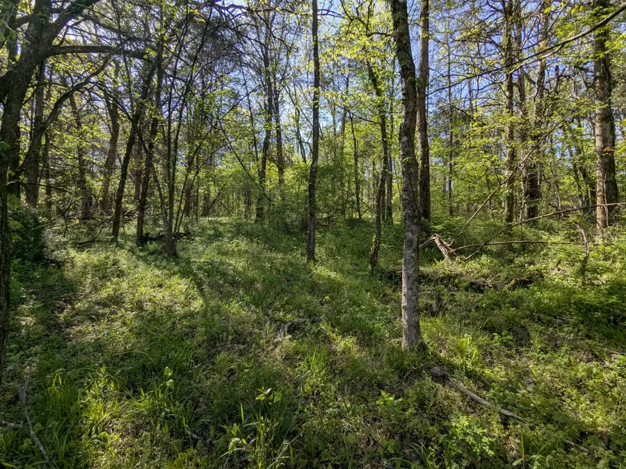 5 Old Stage Road, Ardmore, TN 38449 - #2