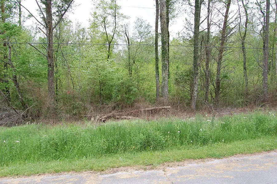 66 51st Avenue, Gruetli Laager, TN 37339 - #3