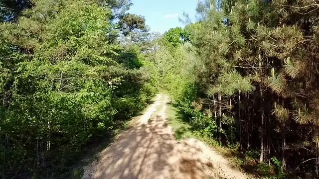 0 Stones Rd, Camden, TN 38320 - Image #3