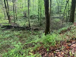 #3