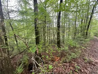 #2