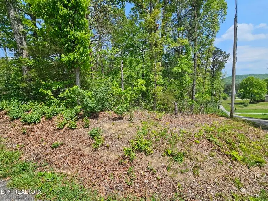 0 Sutherland Drive, Helenwood, TN 37755 - Image #1