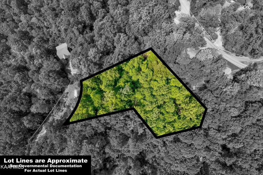 650 Silver Poplar Lane, Sevierville, TN 37876 - Image #2