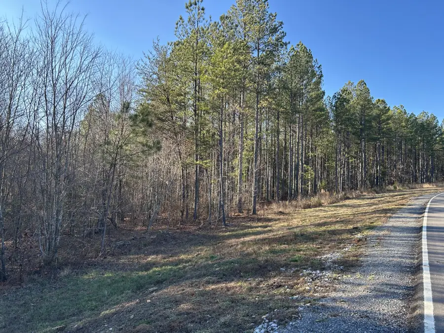 940 Crockett Point, Jasper, TN 37347 - Image #3