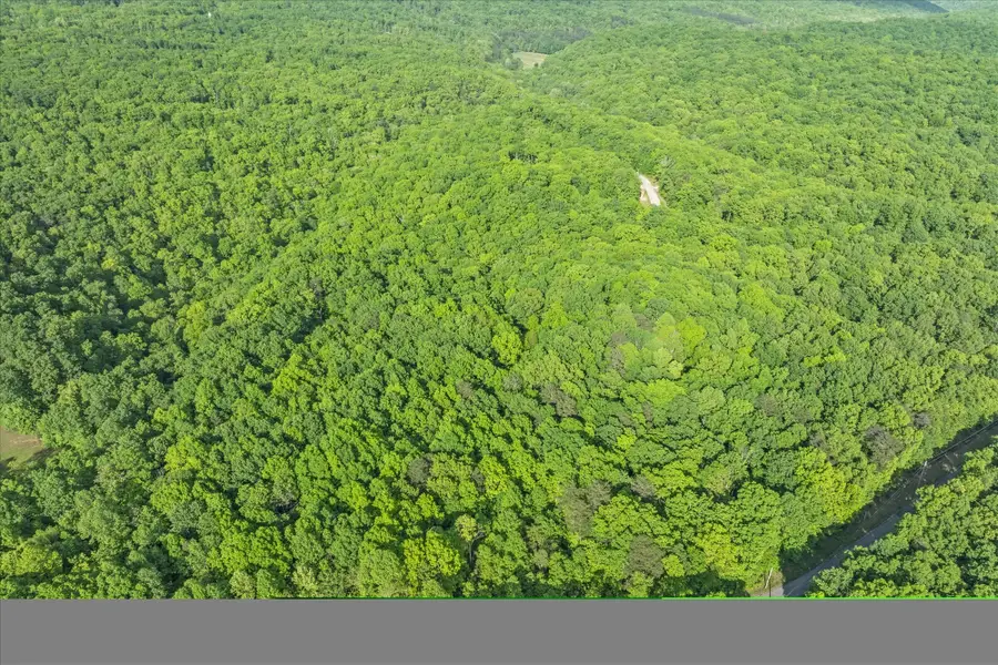 483 Honey Springs Rd, Crawford, TN 38554 - Image #3