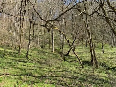 #2