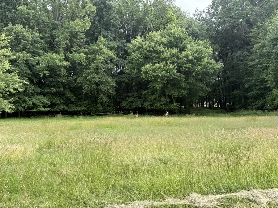 #3