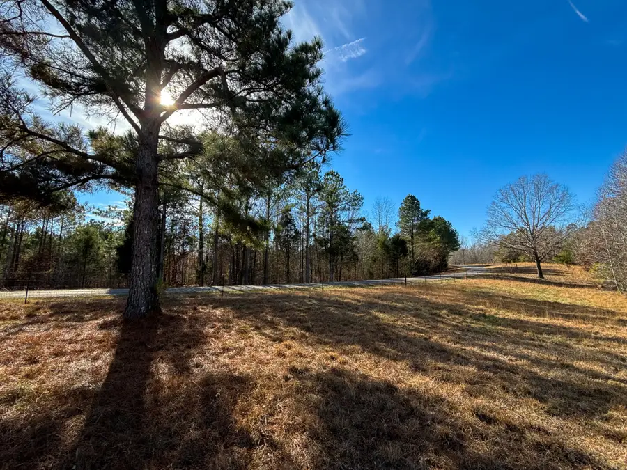 935 Pearson Rd, Cedar Grove, TN 38321 - #2