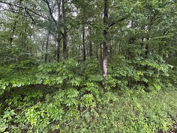 0 Wilder Rd, Clarkrange, TN 38553