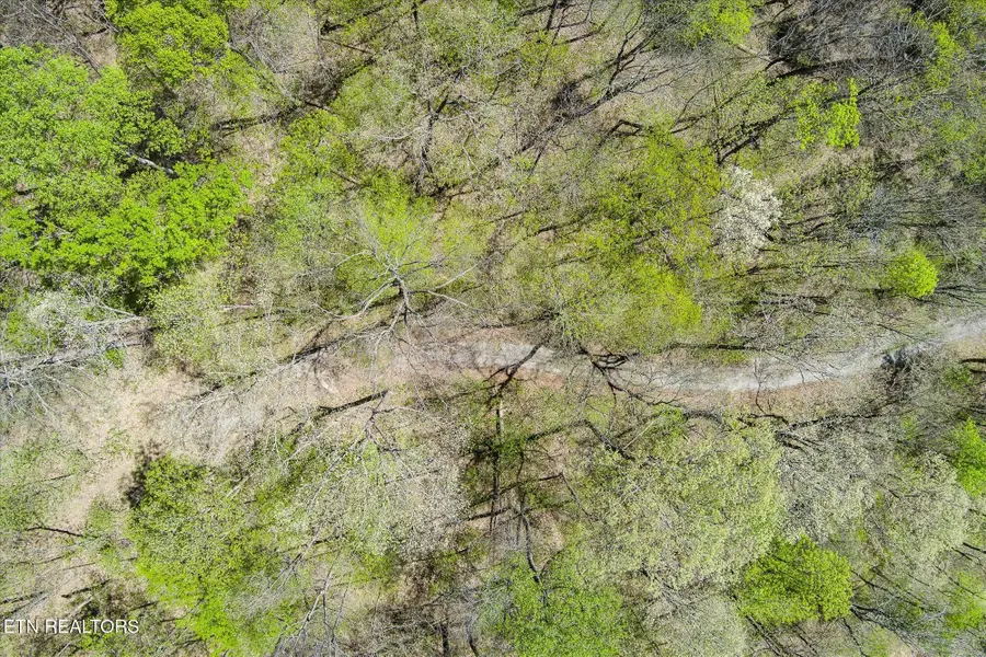 0 Pawnee Lane, Jamestown, TN 38556 - Image #3