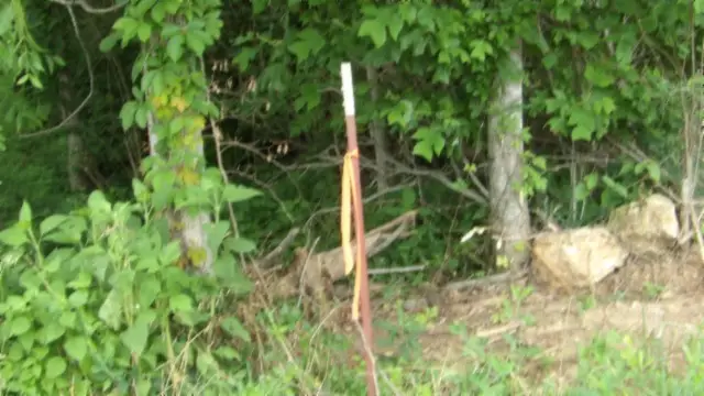 #2