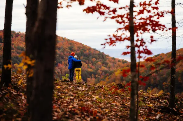 0 Worley Road, Soddy Daisy, TN 37379