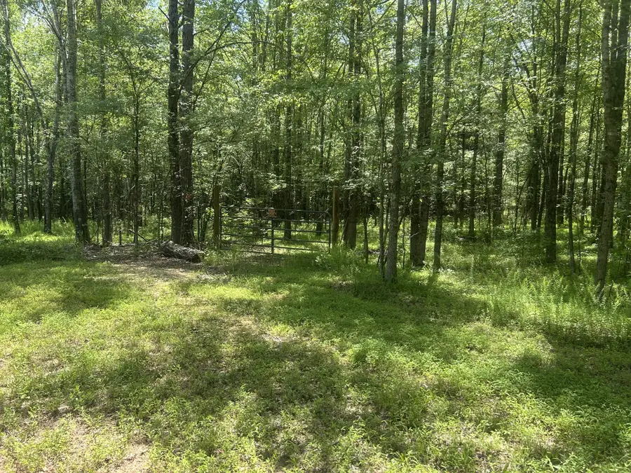 220 Raintree Dr, Big Sandy, TN 38221 - Image #2