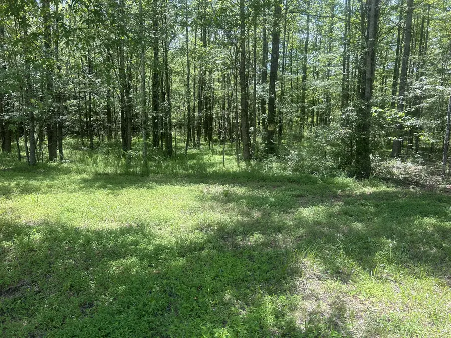 220 Raintree Dr, Big Sandy, TN 38221 - Image #3