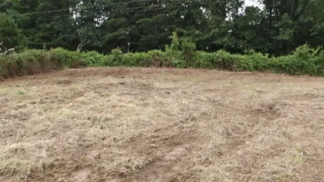 #3