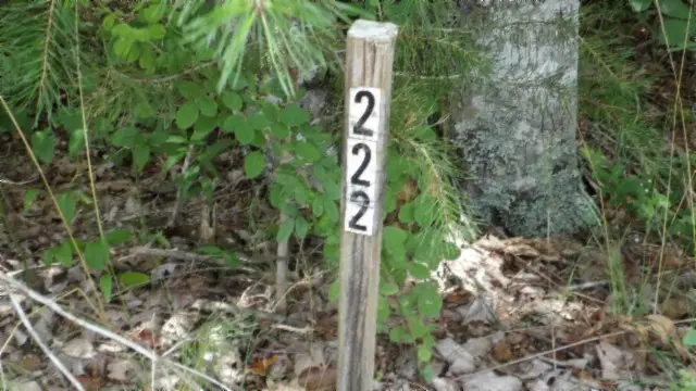 #2