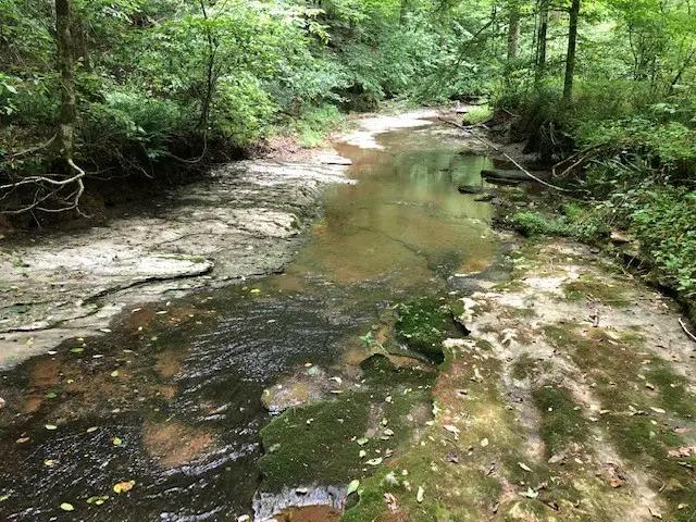 2270 Shuler Branch Rd, Ethridge, TN 38456 - #1