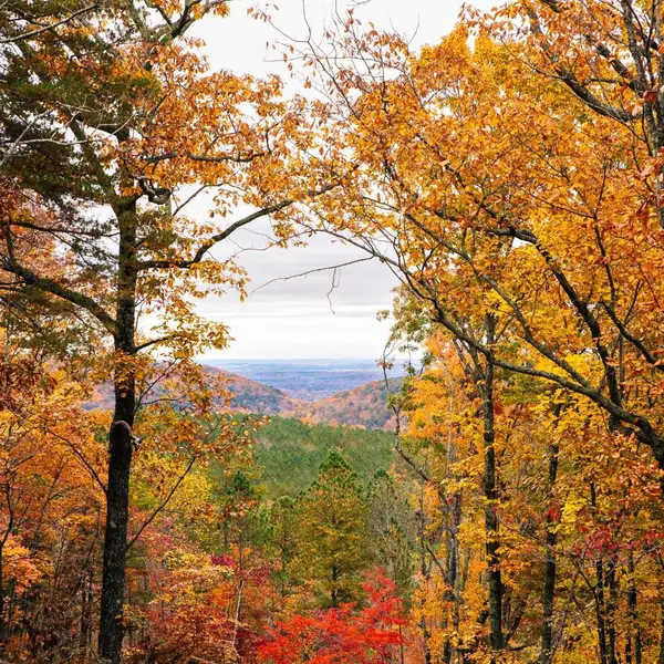 0 Worley Road, Soddy Daisy, TN 37379