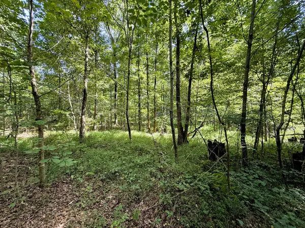 0 Webb Rd Ext, Summertown, TN 38483