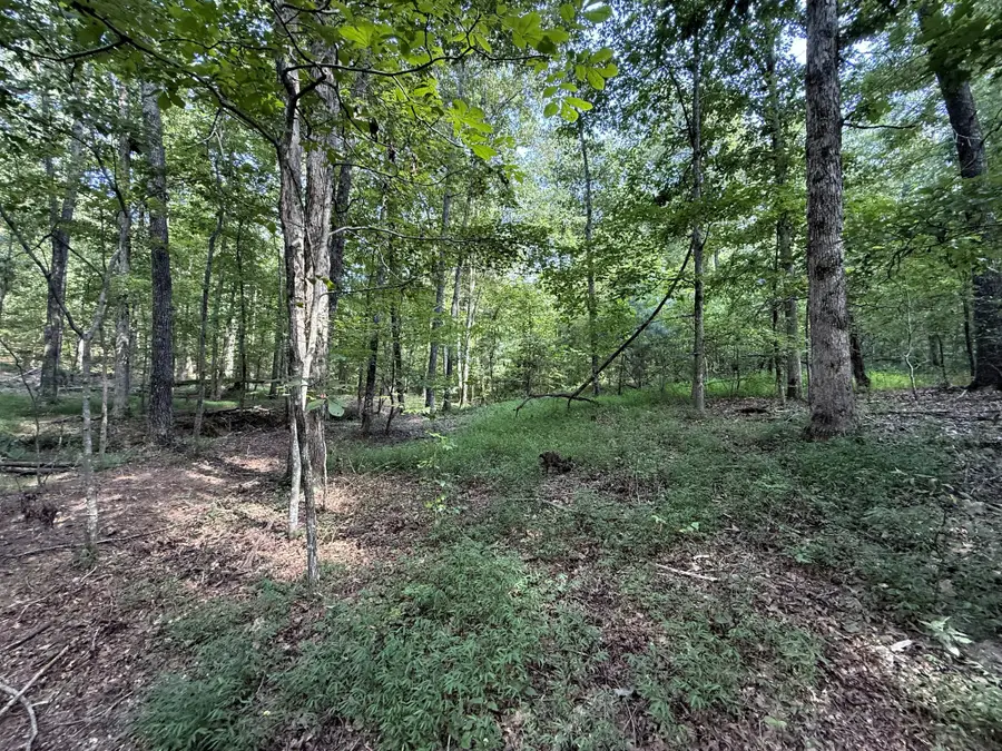 0 Webb Rd Ext, Summertown, TN 38483 - #2