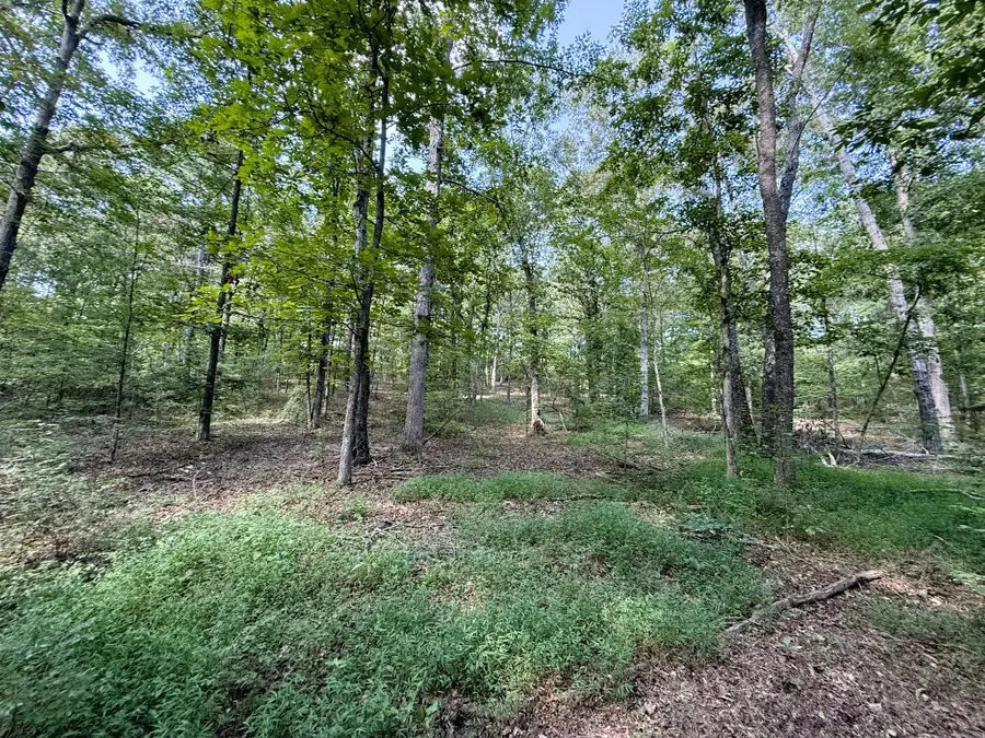 0 Webb Rd Ext, Summertown, TN 38483 - #3