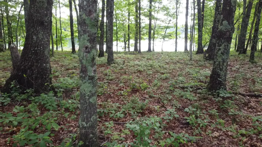 131 Camp Creek Circle, Spencer, TN 38585 - Image #2