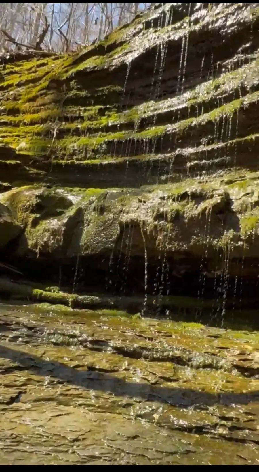 0 Simmons Ct, Ashland City, TN 37015 - Image #3