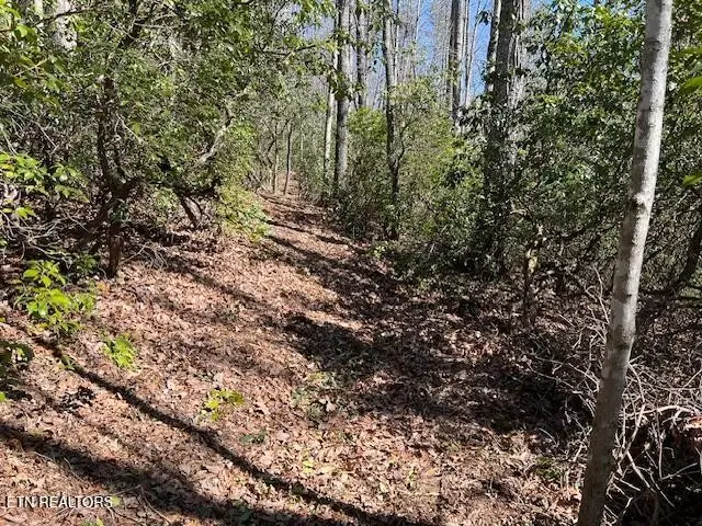 #3