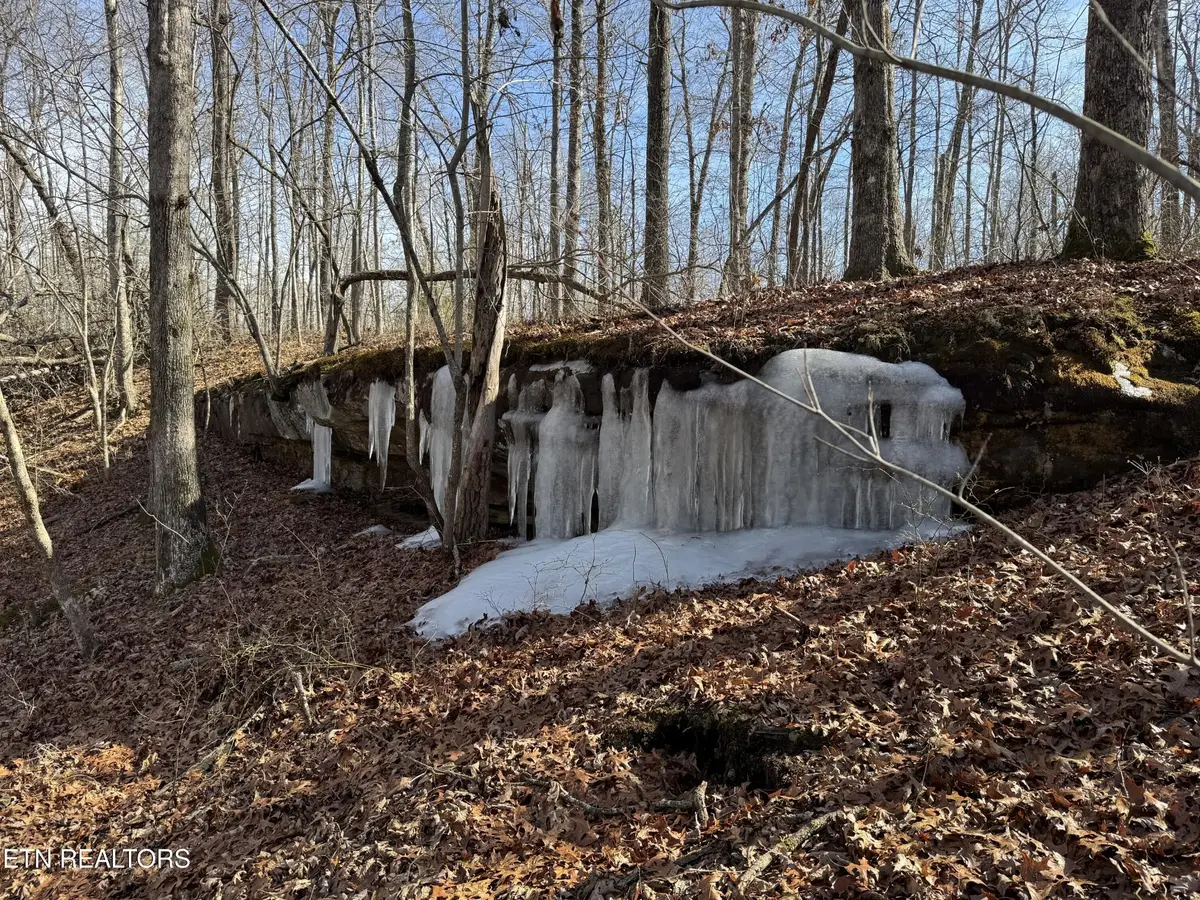 37 Crystal Point, Monterey, TN 38574 - #1