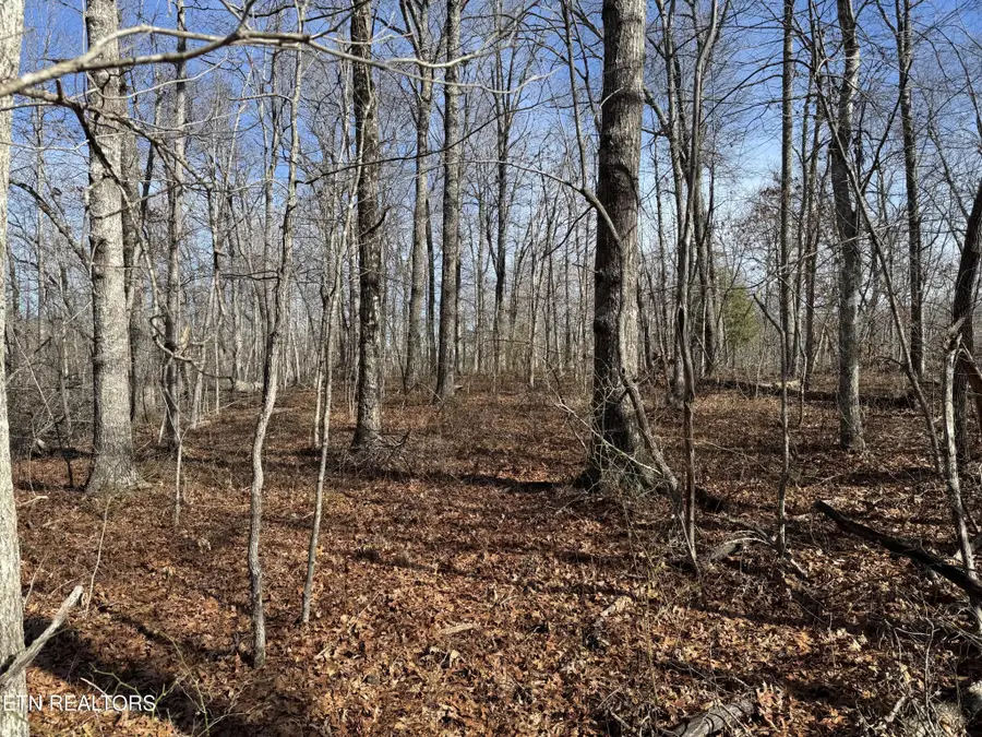 37 Crystal Point, Monterey, TN 38574 - #3