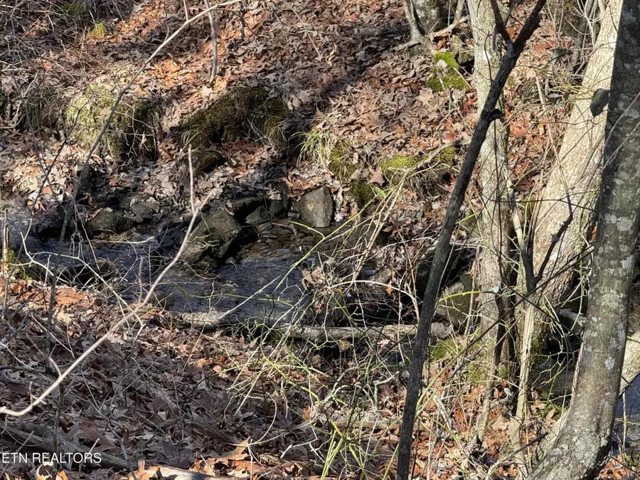 38 Crystal Point, Monterey, TN 38574 - #3