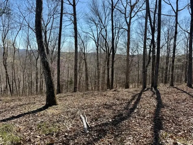 31C Rock Fish Rd, Hilham, TN 38568 - Image #2