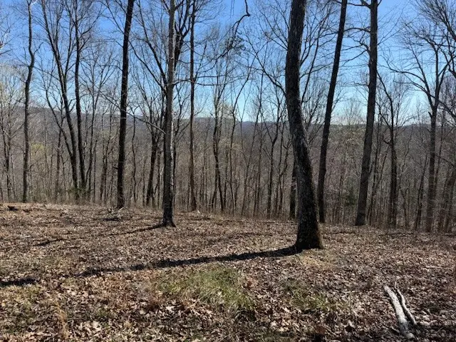 31C Rock Fish Rd, Hilham, TN 38568 - Image #3