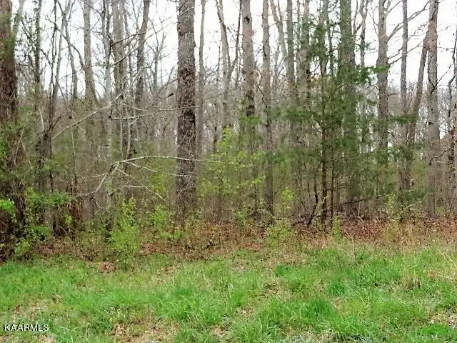 0 Keating Loop, Crossville, TN 38555 - Image #2